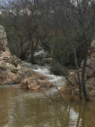 صورة الفندق 22