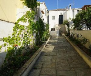 Two Olive Trees Spetses Greece