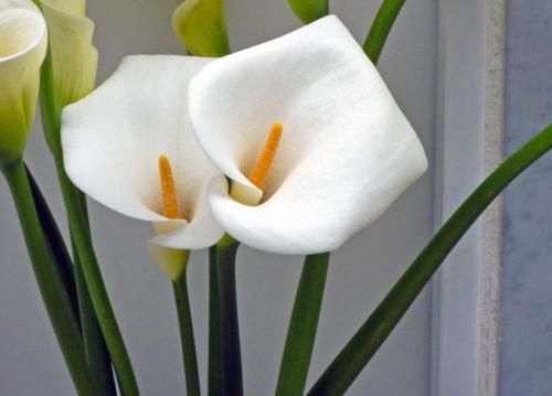 صورة الفندق 3