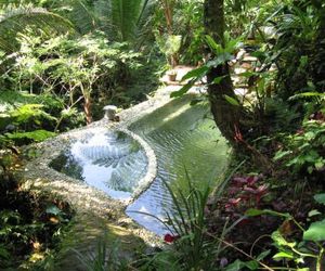 Jungle Dream Tegallalang Indonesia