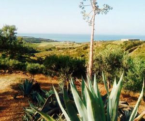 villa immersa in oliveto Sciacca Italy