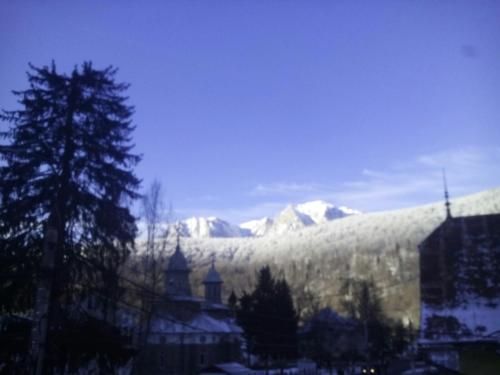 صورة الفندق 3