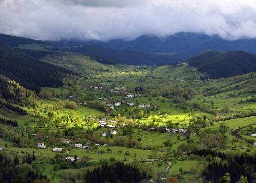 صورة الفندق 5