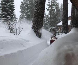 Mountainback #45, Den Mammoth Lake United States