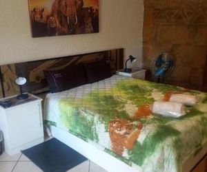 Rock Art Guesthouse Witbank South Africa