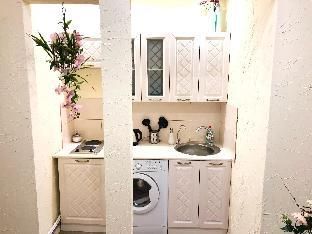 2 bedroom apartment in center of St.Petersburg