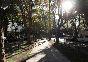 صورة الفندق 21