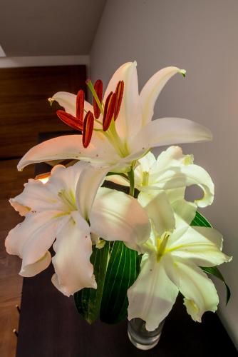 صورة الفندق 21