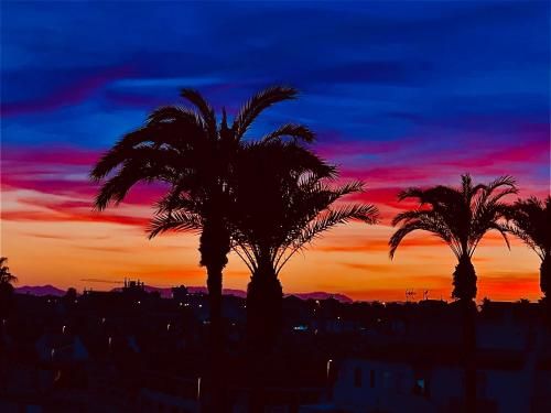 صورة الفندق 8