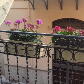 NearBy Hotel