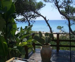 Un nido damore sul mare Gallipoli Italy