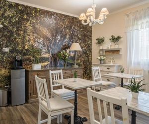 B&B LUlivo Fiumicino Fiumicino Italy