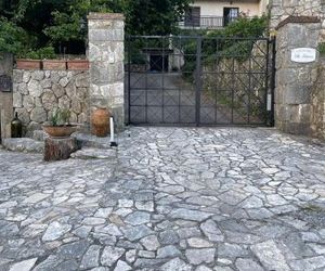 Villa Palmina Annunziata Italy