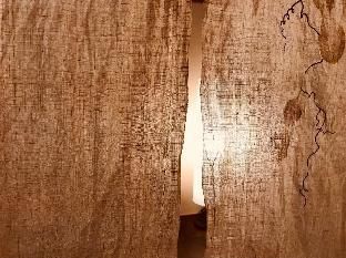 صورة الفندق 16