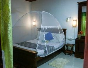 BED & BICYCLE HOSTEL DAMBULLA Dambulla Sri Lanka