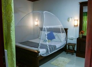 Hotel pic BED & BICYCLE HOSTEL DAMBULLA