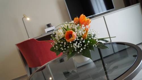 صورة الفندق 16