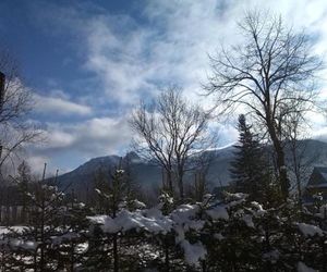 Apartament rodzinny z kominkiem Kościelisko/ Zakopane Koscielisko Poland
