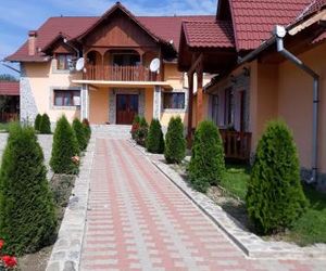 Pensiunea Casa Nina Cirtisoara Romania