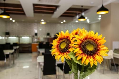 صورة الفندق 13