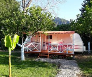 Bellerofon Camping Cirali Turkey