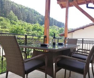 Forest Apartment Gorna-Bania Bulgaria