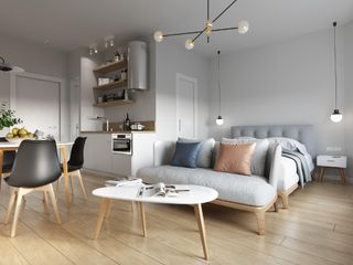 Апартаменты студио 35 кв. м, собственных ванных: 1, в Центральный район