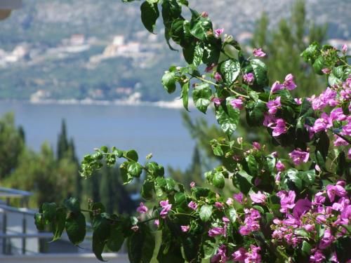صورة الفندق 9