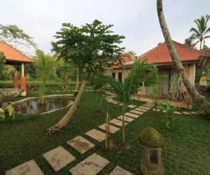 Beautiful Rice filed Guest House Village Stay I Tegallalang Indonesia