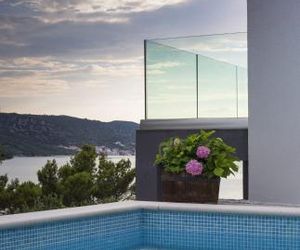 Villa Regina with swimming-pool and sea view Vrsine Croatia