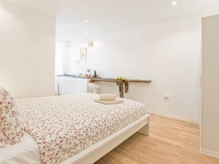 Modern Studio in the historic center of Petersburg