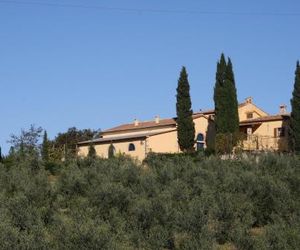 Donzellino Massa Marittima Italy