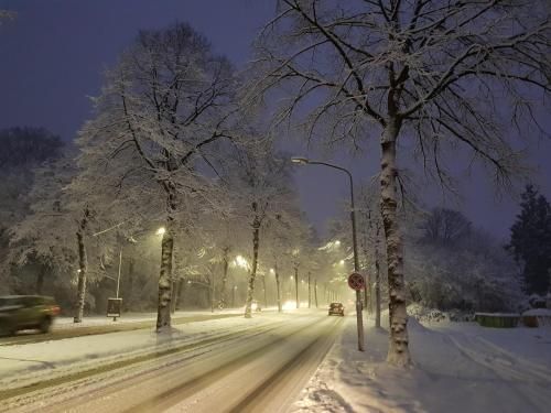 صورة الفندق 20