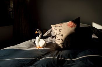 صورة الفندق 13