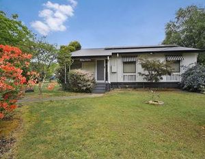 Delany Surprise - Pet friendly house Bright Australia
