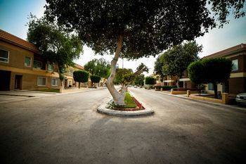 صورة الفندق 17