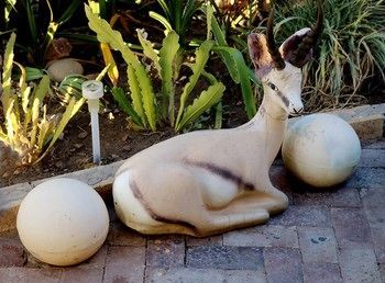 صورة الفندق 3