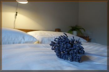 صورة الفندق 7