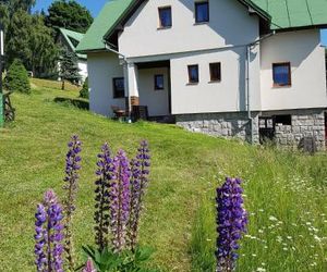 U Kobrů Spindleruv Mlyn Czech Republic