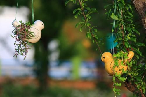 صورة الفندق 18