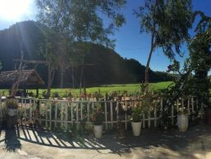 Phong Nha Rice Field Homestay Phong Nha Vietnam