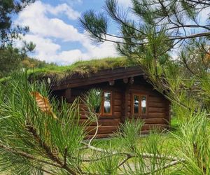 Log home village Ulverston United Kingdom