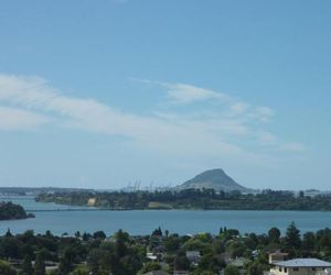 Up in the Stars B&B Tauranga New Zealand