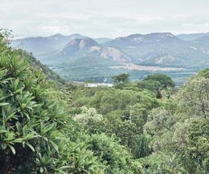 Leopard Tree Retreat Nelspruit South Africa