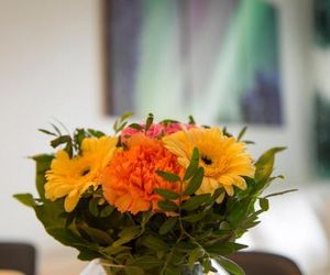 Tuomas´ luxurious suites, Nouka Rovaniemi Finland