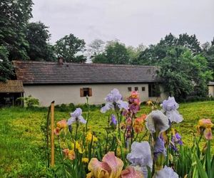 Rural Holiday Home "Rim" Ruralna kuća za odmor Gorisnica Slovenia