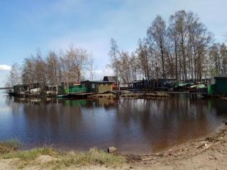 Микродом Дарта