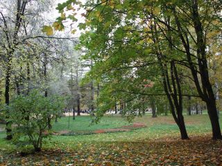 квартира на пр.Королёва 21