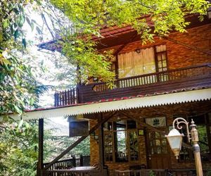 Royal Swiss Cottage Chail India