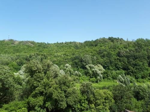 صورة الفندق 12
